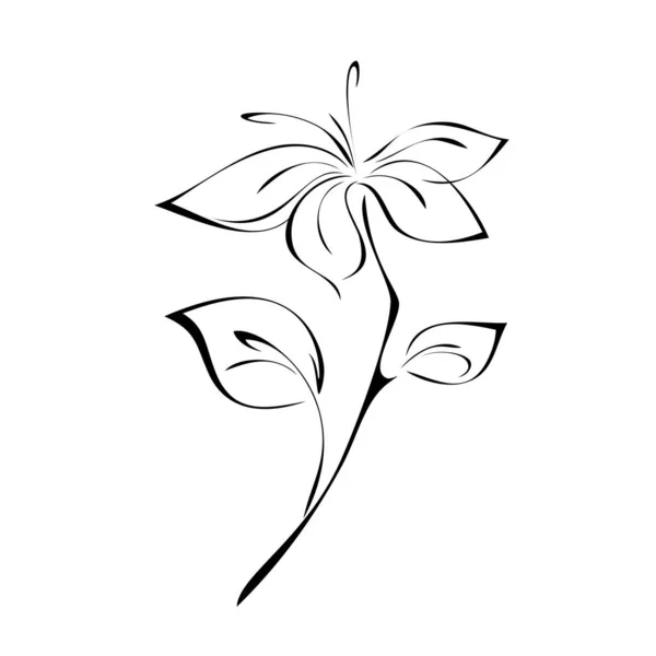 Стилізована Квітка Стеблі Листям Чорних Лініях Білому Тлі — стоковий вектор