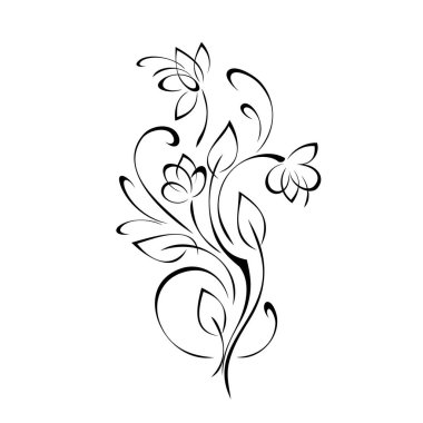 Beyaz arka planda çiçek açan ince dal, siyah çizgiler ve kıvrımlar.