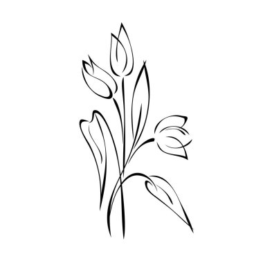 kökler üzerinde üç çiçek tomurcuğu ve beyaz arkaplanda siyah çizgiler var.