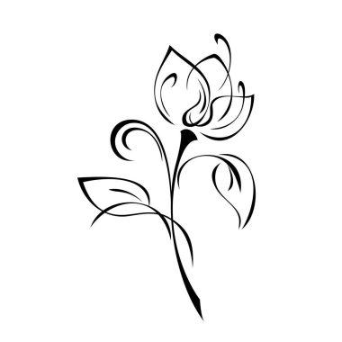 Yaprakları ve kıvrımları beyaz arka planda siyah çizgilerle kaplı bir sapında büyük taç yaprakları olan eşsiz dekoratif bir çiçek.