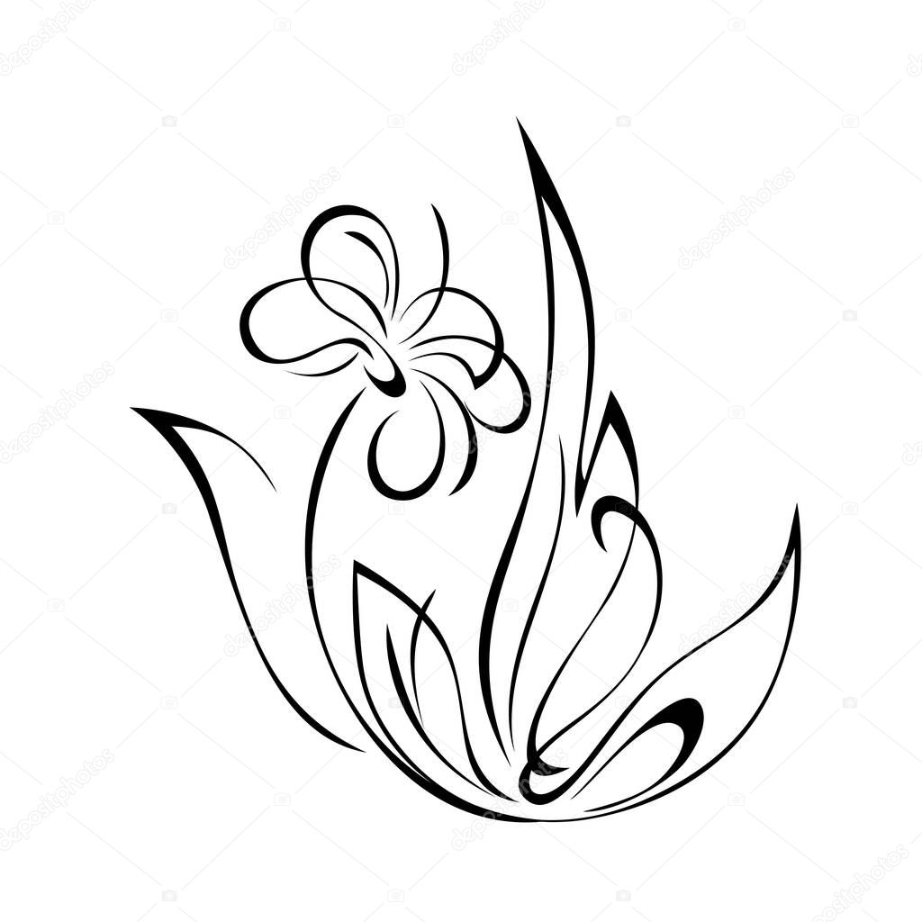 stylized flower with large petals on the stem with leaves and curls black lines on a white background