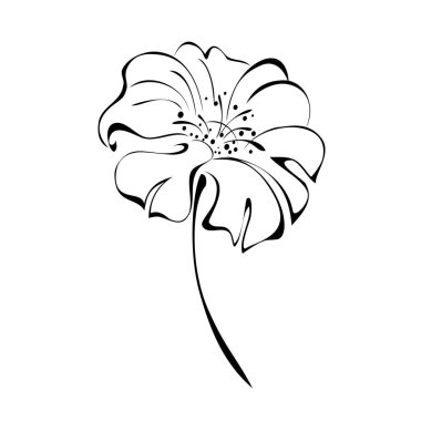 Beyaz arka planda siyah çizgiler içinde yaprakları olmayan kısa saplı bir çiçek.