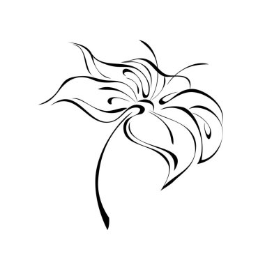 Beyaz arka planda siyah çizgiler içinde yaprakları olmayan kısa saplı bir çiçek.