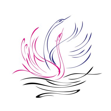 Birbirini seven iki kuğu suda yüzer ve kanatlarını çırparlar.