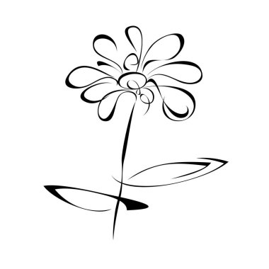 Beyaz arkaplanda siyah çizgiler halinde yaprakları olan bir sapta çiçek açmak.