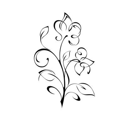 Çiçek desenli yaprak ve bukleleri beyaz arkaplanda siyah çizgiler üzerinde açan çiçekler.