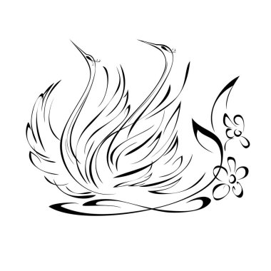 Beyaz arka planda siyah çizgiler üzerinde yüzen iki sevgi dolu kuğu.