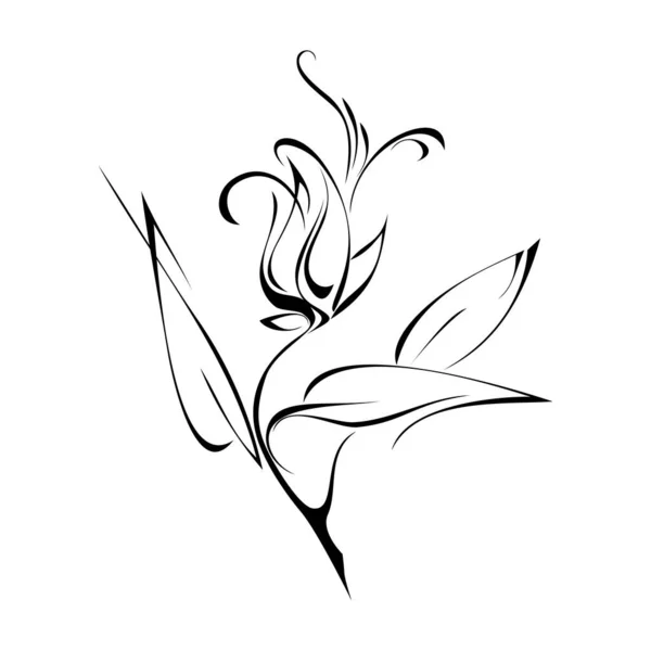 Fleur Stylisée Lignes Noires Sur Fond Blanc — Image vectorielle