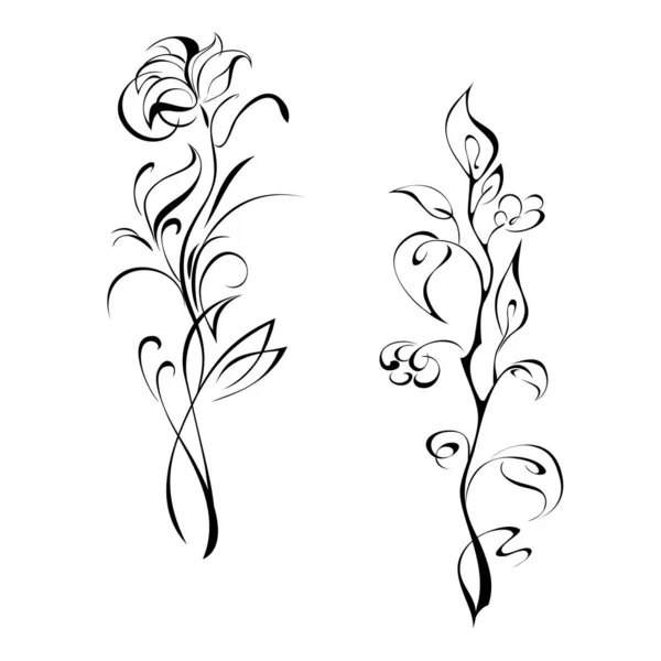 Két Stilizált Virág Fekete Vonalak Egy Fehér Háttér — Stock Vector