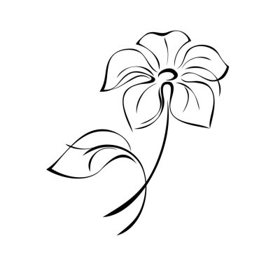 Kısa saplı büyük yapraklı bir çiçek, beyaz arkaplanda siyah çizgiler halinde bir yaprak.