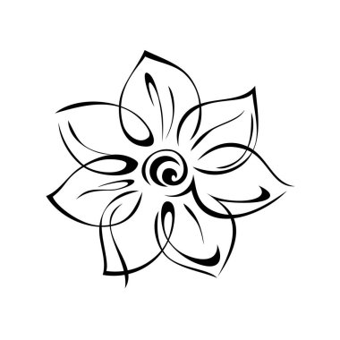 Beyaz arka planda siyah çizgileri olmayan, geniş yapraklı bir çiçek.