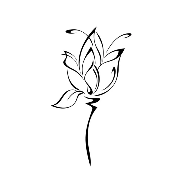 Один Стилізований Квітковий Бутон Короткому Стеблі Листя Чорних Лініях Білому — стоковий вектор
