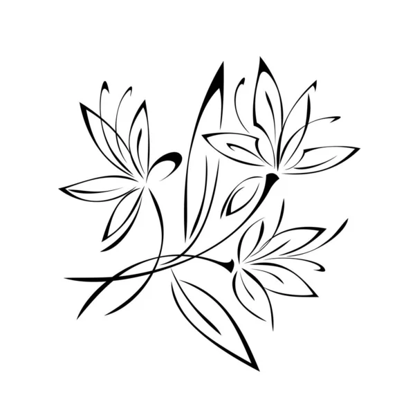 Decorative Element Stylized Blooming Flowers Stems Leaves Black Lines White — Stock Vector
