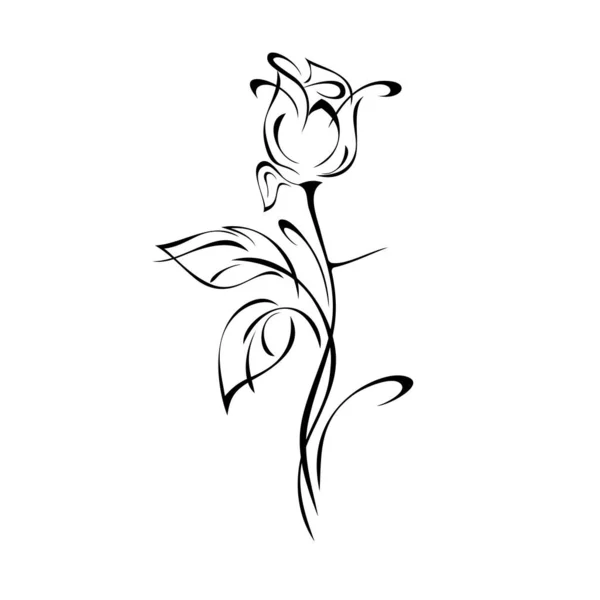 One Stylized Rosebud Stem Leaves Curls Black Lines White Background — Stock Vector