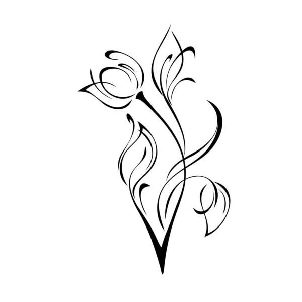 ดดอกไม สไตล งบนก านโค ใบไม และลอนในเส าบนพ นหล ขาว — ภาพเวกเตอร์สต็อก