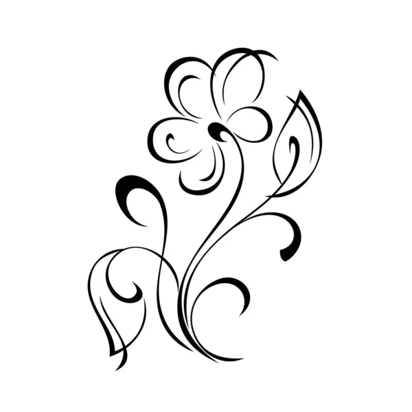 白い背景に黒い線で葉やカールを持つ茎に大きな花弁を持つ装飾花 — ストックベクタ