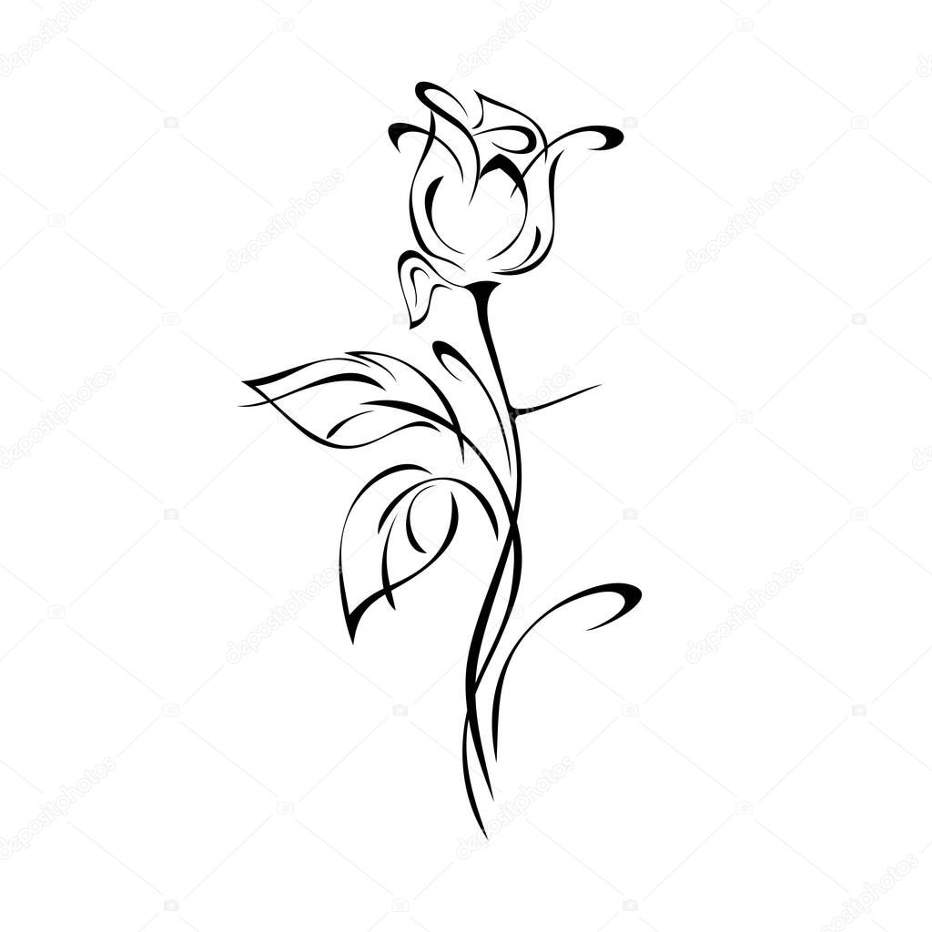 one stylized rosebud on a stem with leaves and curls black lines on a white background