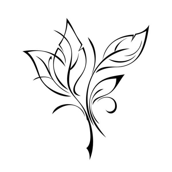 白い背景に葉とカールの黒い線で短い小枝を様式化 — ストックベクタ
