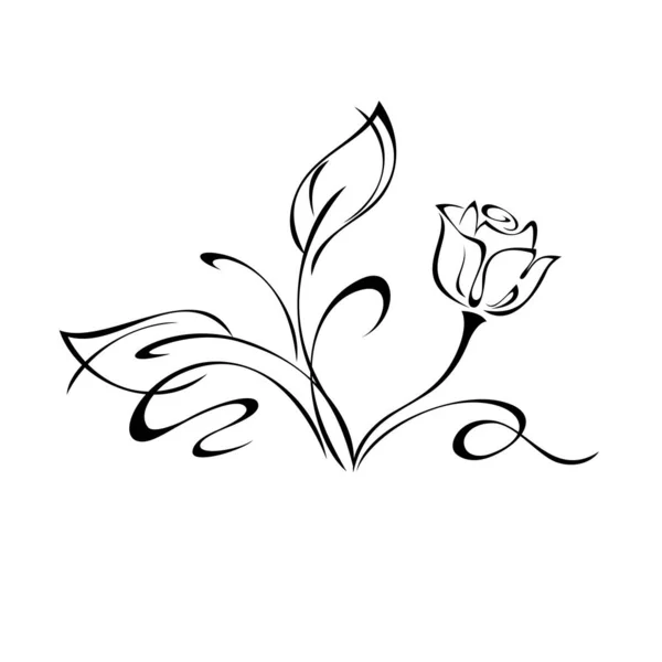 白い背景に葉とカールの黒い線で短い茎にバラの木を描いたものです — ストックベクタ