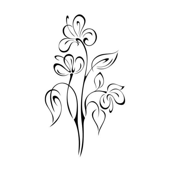 Κλαδιά Στυλιζαρισμένα Ανθισμένα Λουλούδια Και Αφήνει Μαύρες Γραμμές Λευκό Φόντο — Διανυσματικό Αρχείο