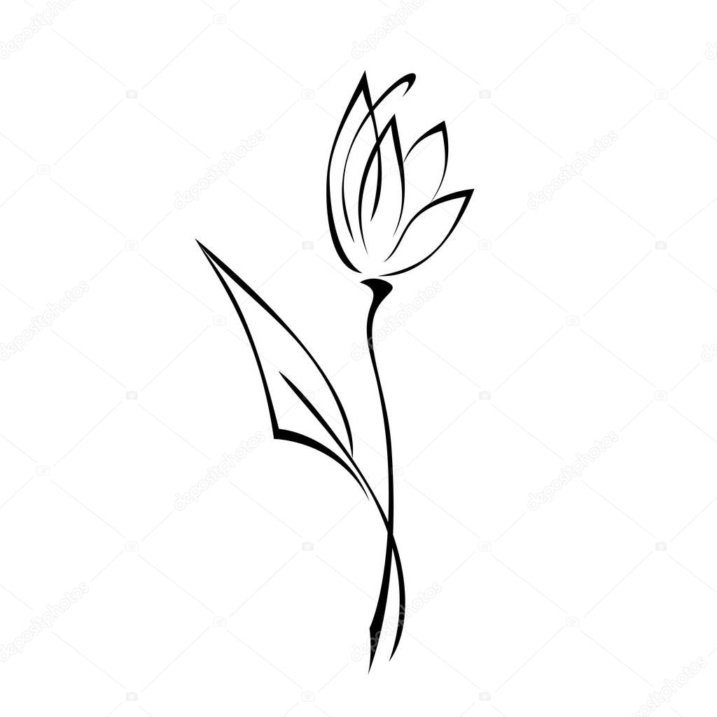 stylized flower bud on a stem with a single leaf in black lines on a white background