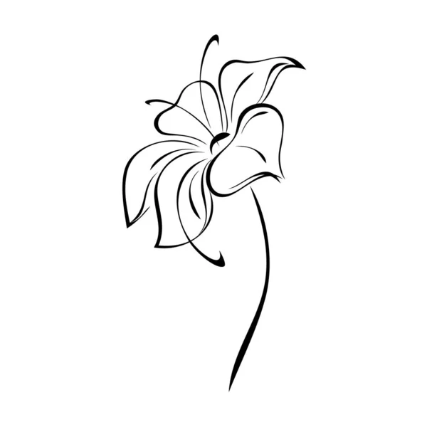 Stiliserad Blomma Med Stora Kronblad Kort Stjälk Svarta Linjer Vit — Stock vektor