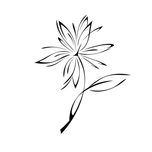Стилизованный Цветущий Цветок Стебле Одним Листом Черные Линии Белом Фоне — стоковый вектор