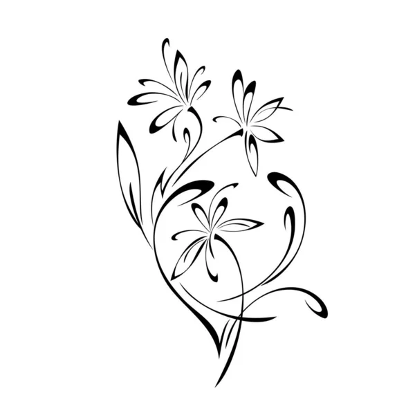Декоративний Елемент Квітучими Квітами Стеблах Листям Завитками Чорних Лініях Білому — стоковий вектор