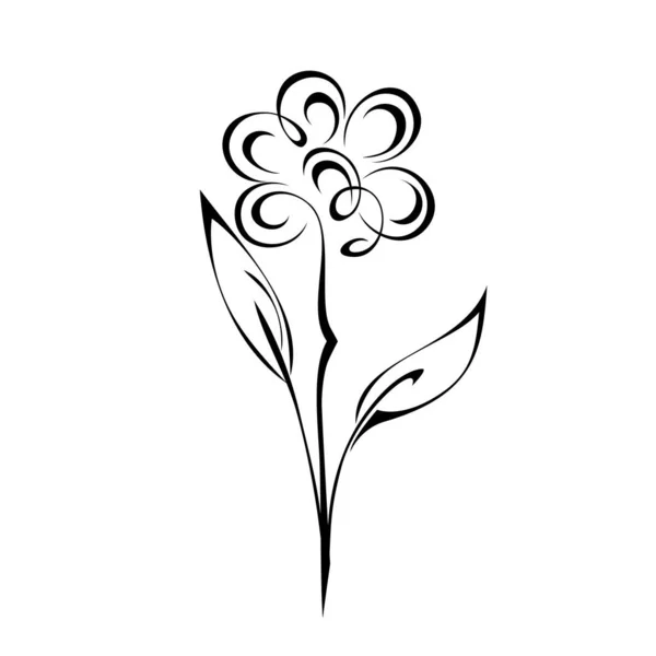 Dekorativ Blommande Blomma Stjälk Med Blad Svarta Linjer Vit Bakgrund — Stock vektor