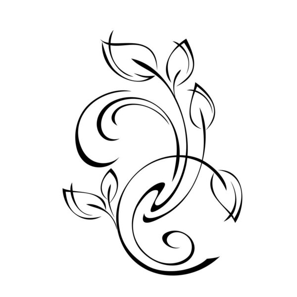 unique decorative element with stylized leaves and curls in black lines on a white background