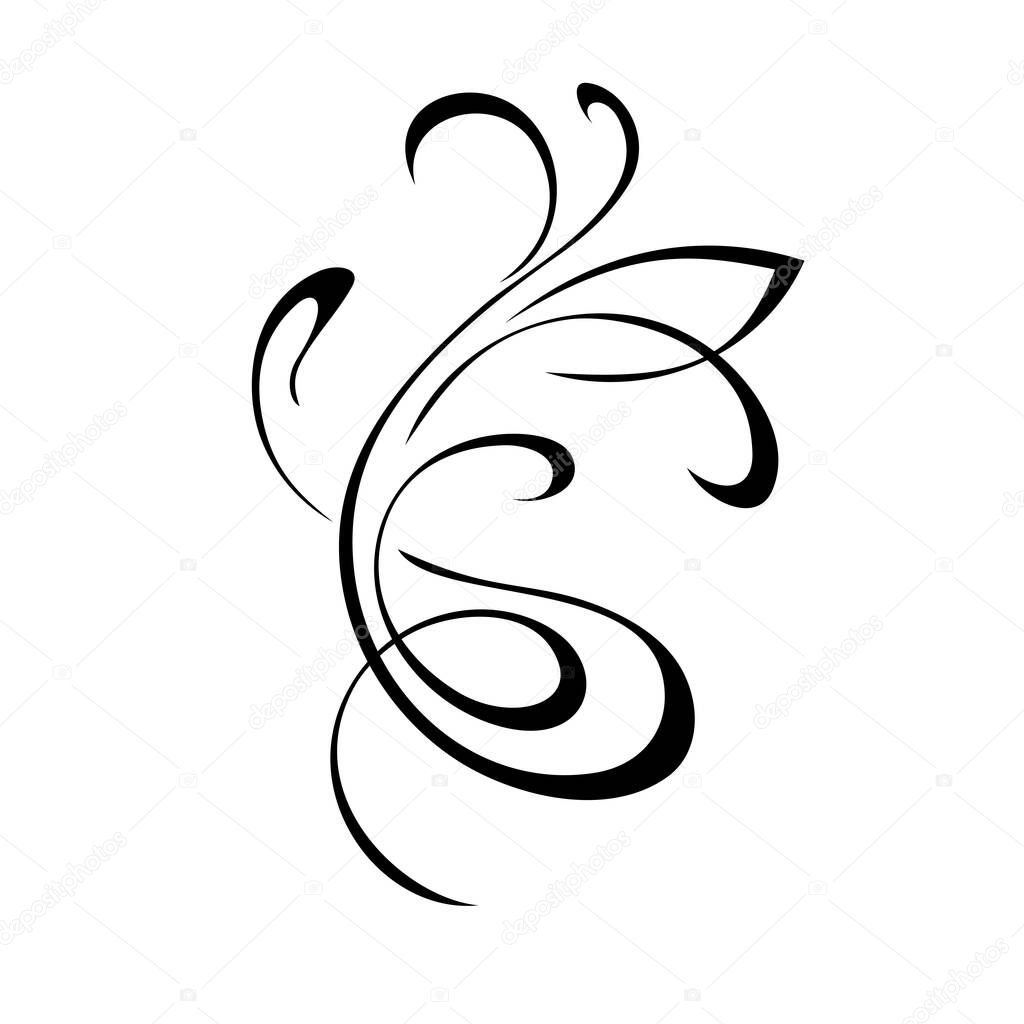 unique decorative abstract ornament with curls in black lines on a white background