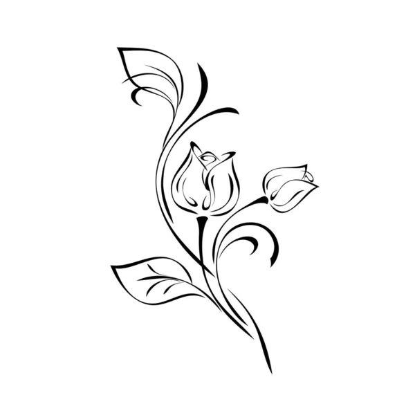 白い背景の黒い線で花の芽 葉やカールを持つ様式化された小枝 — ストックベクタ