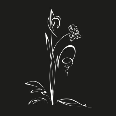 Siyah arkaplanda beyaz çizgilerle uzun bir saptaki bir çiçek.