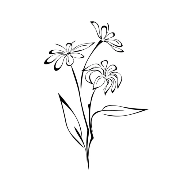 Galho Com Flores Florescentes Folhas Linhas Pretas Fundo Branco — Vetor de Stock
