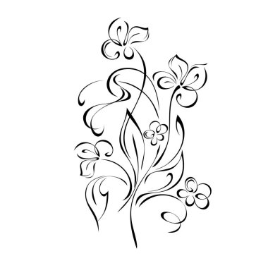 Çiçek desenli yaprak ve bukleleri beyaz arkaplanda siyah çizgiler üzerinde açan çiçekler.