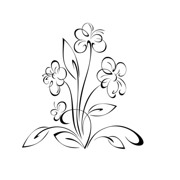 Цветочный Дизайн Цветущими Цветами Стеблях Листьями Кудрями Черных Линиях Белом — стоковый вектор