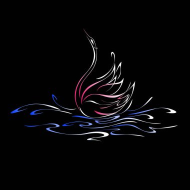 Siyah bir arka planda renkli çizgiler içinde zarif kuğu suyun üzerinde yüzer.