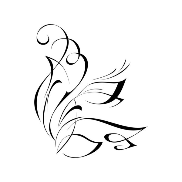 abstract illustration with curls and leaves in black lines on a white background