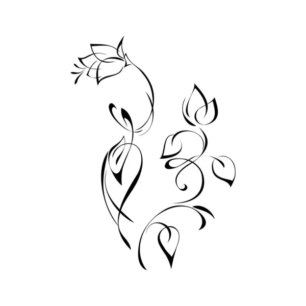 Stylized Flowers Curved Stems Leaves Black Lines White Background — Wektor stockowy