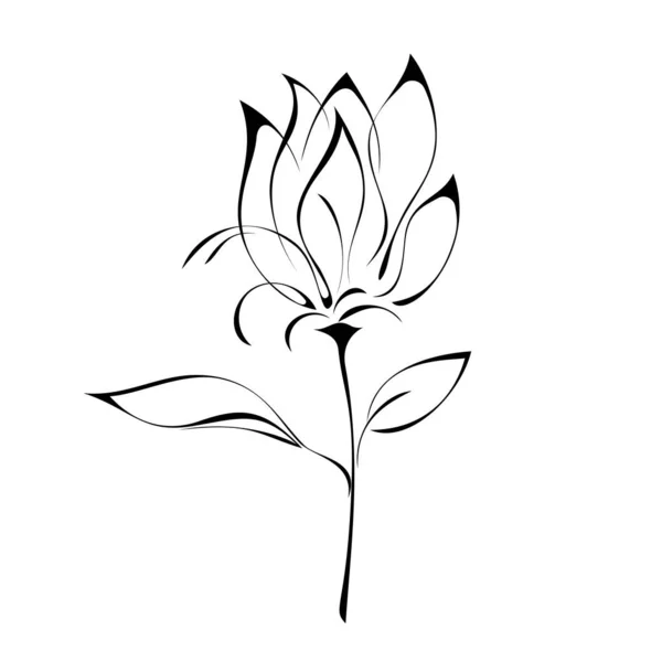 Стилізована Квітка Тюльпанів Стеблі Листям Графічний Декор — стоковий вектор
