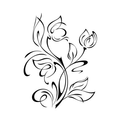 kıvrımlı gövdelerde üç çiçek tomurcuğu, beyaz arkaplanda siyah çizgiler ve kıvrımlar.