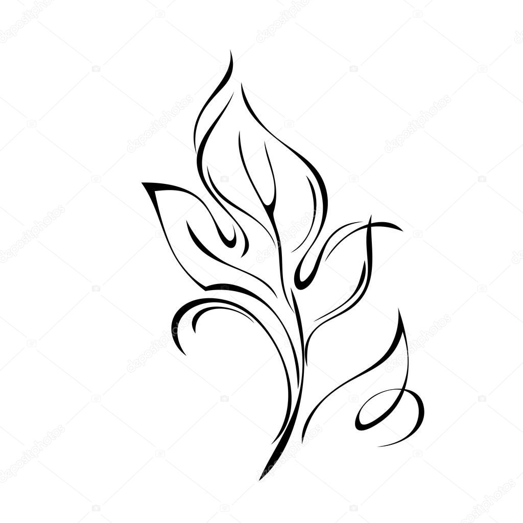 one stylized leaf with curls in black lines on a white background