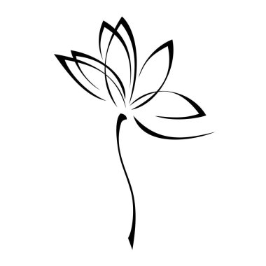 Beyaz arka planda siyah çizgiler içinde yaprakları olmayan kısa saplı bir çiçek.