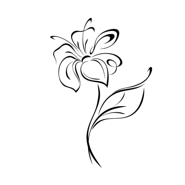 Blooming Flower Large Petals Stem Leaf Black Lines White Background — Wektor stockowy