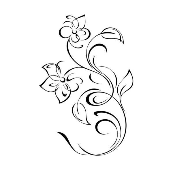 Decorative Element Stylized Flowers Curved Stem Leaves Curls Graphic Decor — Stock Vector