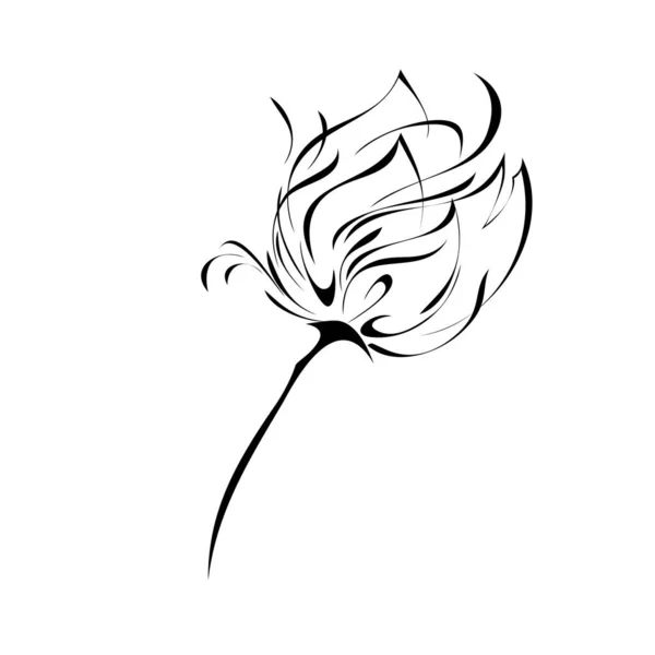 Une Rose Stylisée Lignes Noires Sur Fond Blanc — Image vectorielle