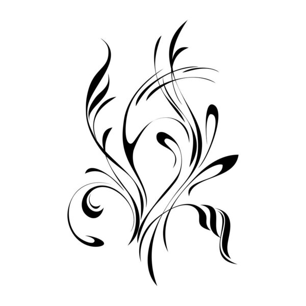 abstract floral pattern in black lines on a white background