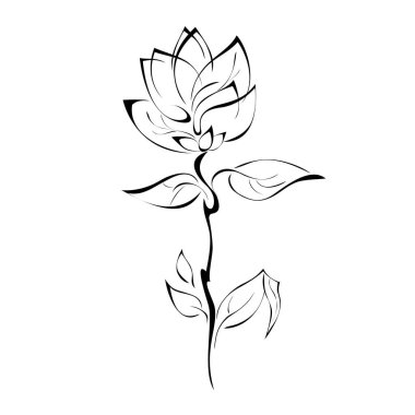 Beyaz arkaplanda siyah çizgilerle yaprakları olan bir sapta stilize gül