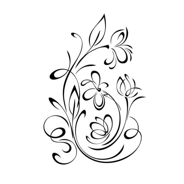 Unique Decorative Element Stylized Flowers Leaves Swirls Black Lines White — Stock Vector