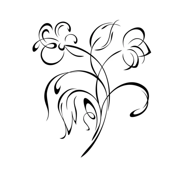 Цветочный Дизайн Цветущими Цветами Стеблях Листьями Кудрями Черных Линиях Белом — стоковый вектор